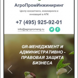 Скриншоты разработанного сайта agropromeng.ru (Скрин №6)