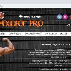 Скриншоты разработанного сайта nosorog46.ru (Скрин №1)