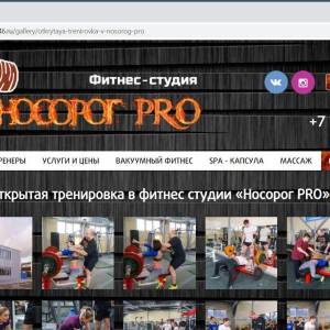 Скриншоты разработанного сайта nosorog46.ru (Скрин №8)