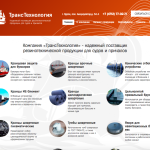 Скриншоты разработанного сайта transotboy.ru (Скрин №1)