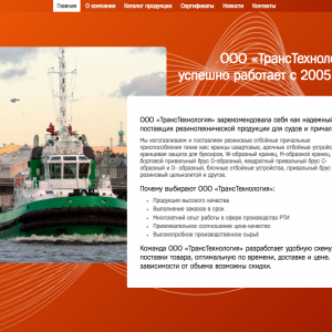 Скриншоты разработанного сайта transotboy.ru (Скрин №2)