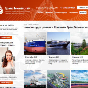 Скриншоты разработанного сайта transotboy.ru (Скрин №4)