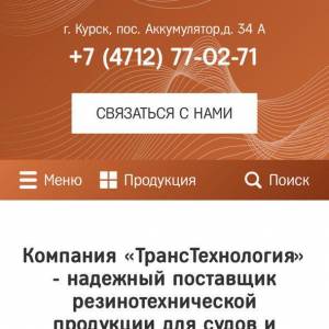 Скриншоты разработанного сайта transotboy.ru (Скрин №6)