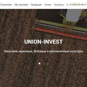 Скриншоты разработанного сайта un-invest.ru (Скрин №1)