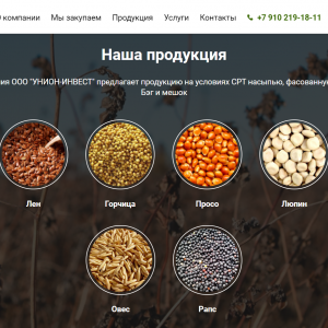 Скриншоты разработанного сайта un-invest.ru (Скрин №2)