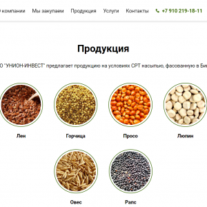 Скриншоты разработанного сайта un-invest.ru (Скрин №5)