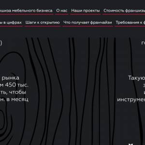 Скриншоты разработанного сайта alfa-franch.ru (Скрин №10)