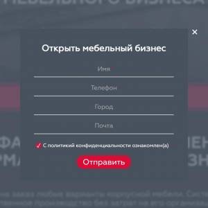 Скриншоты разработанного сайта alfa-franch.ru (Скрин №11)