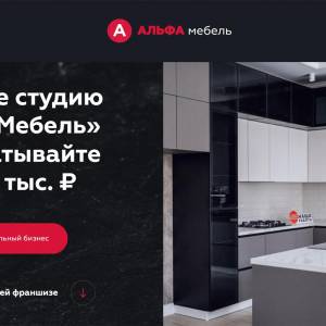 Скриншоты разработанного сайта alfa-franch.ru (Скрин №1)