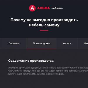 Скриншоты разработанного сайта alfa-franch.ru (Скрин №3)