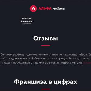 Скриншоты разработанного сайта alfa-franch.ru (Скрин №8)