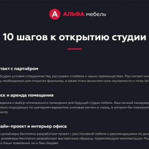 Скриншоты разработанного сайта alfa-franch.ru (Скрин №12)