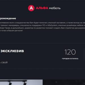 Скриншоты разработанного сайта alfa-franch.ru (Скрин №13)