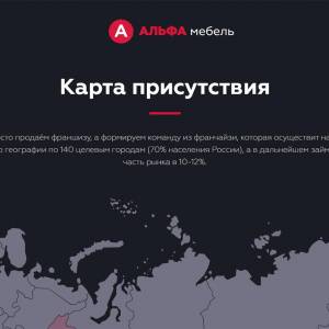 Скриншоты разработанного сайта alfa-franch.ru (Скрин №4)