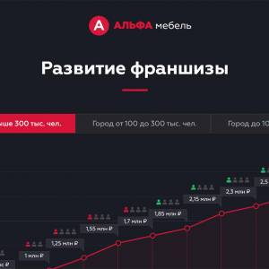 Скриншоты разработанного сайта alfa-franch.ru (Скрин №11)